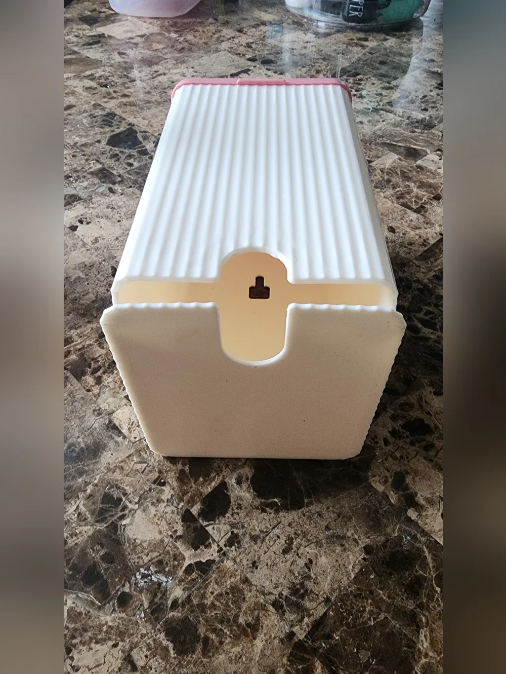 Plastic Feminine Pad Dispenser (Can Hang On The Wall)